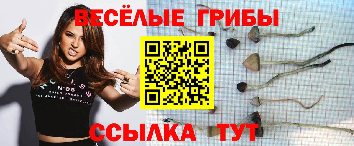 Псилоцибиновые грибы GOLDEN TEACHER Щёлково